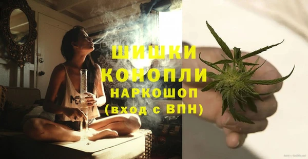 PSILOCYBIN Алексеевка