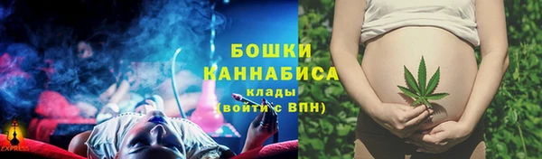PSILOCYBIN Алексеевка